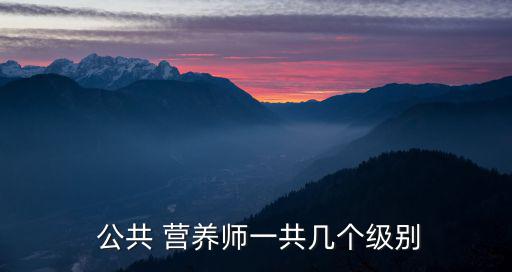  公共 營養師一共幾個級別