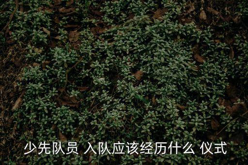  少先隊員 入隊應該經歷什么 儀式