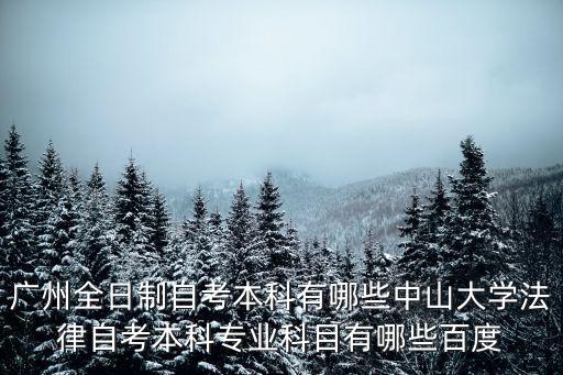 廣州全日制自考本科有哪些中山大學法律自考本科專業科目有哪些百度