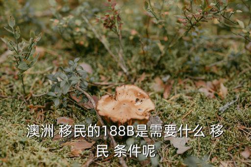 澳洲 移民的188B是需要什么 移民 條件呢
