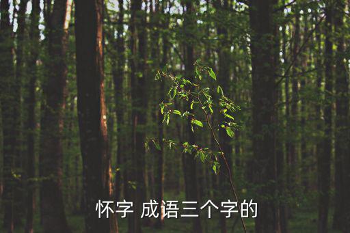  懷字 成語三個字的