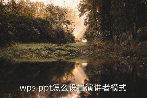 wps ppt怎么設置演講者模式