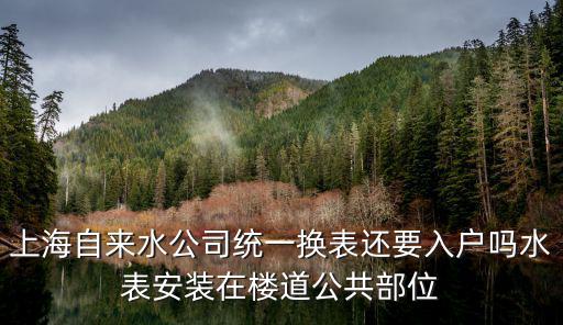 上海自來水公司統(tǒng)一換表還要入戶嗎水表安裝在樓道公共部位