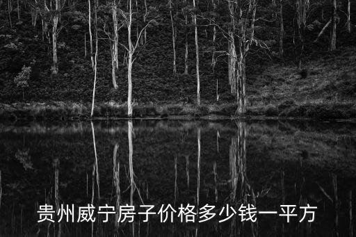 貴州威寧房子價格多少錢一平方