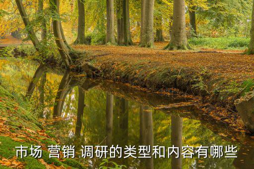 營銷調(diào)研,market營銷調(diào)研有哪些分類?