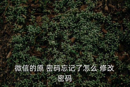  微信的原 密碼忘記了怎么 修改 密碼
