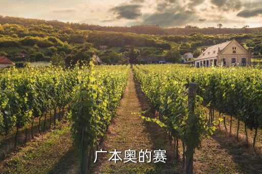 廣本奧的賽