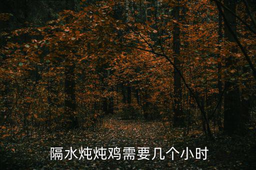  隔水燉燉雞需要幾個小時