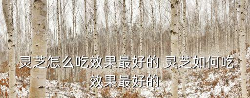  靈芝怎么吃效果最好的 靈芝如何吃效果最好的