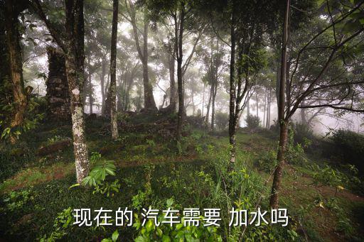 現在的 汽車需要 加水嗎