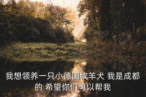 成都市德牧可以養(yǎng)嗎，成都禁養(yǎng)德牧簡(jiǎn)直求莫名堂