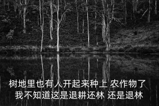 成都市要退林還耕嗎，下列地區應該退耕還林的是