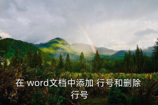 在 word文檔中添加 行號和刪除 行號
