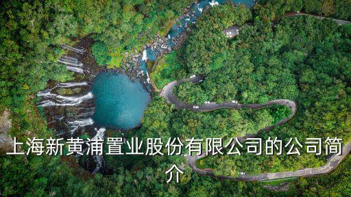上海新黃浦置業(yè)股份有限公司的公司簡(jiǎn)介