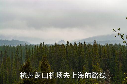杭州蕭山機場去上海的路線