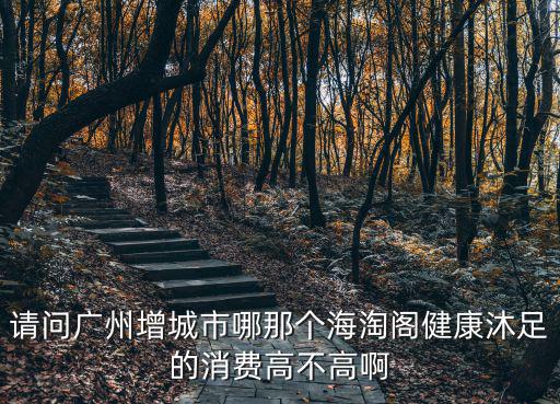 請問廣州增城市哪那個海淘閣健康沐足的消費高不高啊
