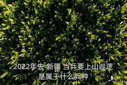 2022年去 新疆 當(dāng)兵要上山巡邏是屬于什么兵種