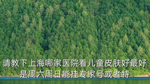 上海市兒童醫院特需門診掛號，在上海兒童醫院網上預約了特需門診有編號還需要一大早過去排隊