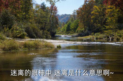  迷離的眼神中 迷離是什么意思啊~