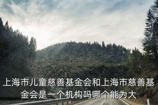 上海市兒童慈善基金會和上海市慈善基金會是一個機構嗎哪個能為大