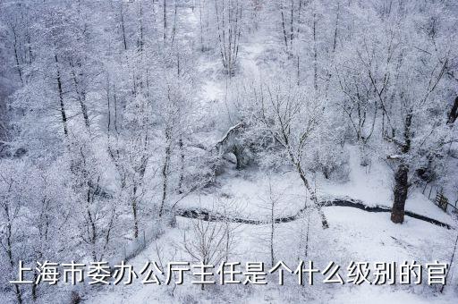 上海市政府委辦局領導班子，上海市委組織部科教干部處處長是誰