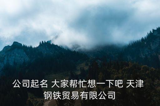 天津市恒豐晟澤鋼鐵銷售有限公司，天津比較大的鋼鐵貿(mào)易商有哪些