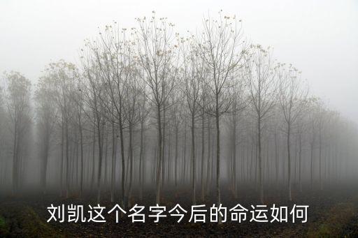 急診科醫(yī)生劉苗劉凱結(jié)局，劉凱這個(gè)名字今后的命運(yùn)如何