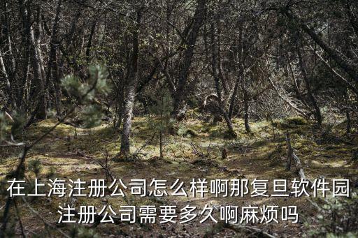 上海企業開辦時間，上海盛大是什么時候成立的