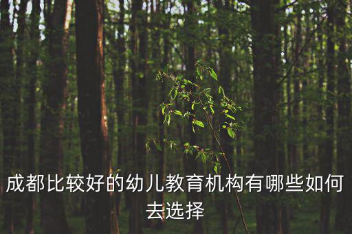 成都比較好的幼兒教育機構(gòu)有哪些如何去選擇