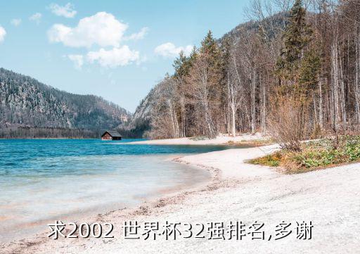 求2002 世界杯32強排名,多謝