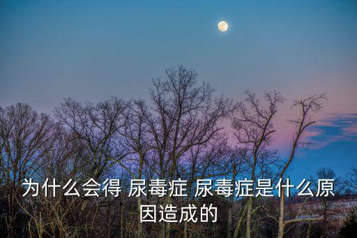 尿毒癥的原因,糖尿病并發尿毒癥病例很多了解病因才能預防該病