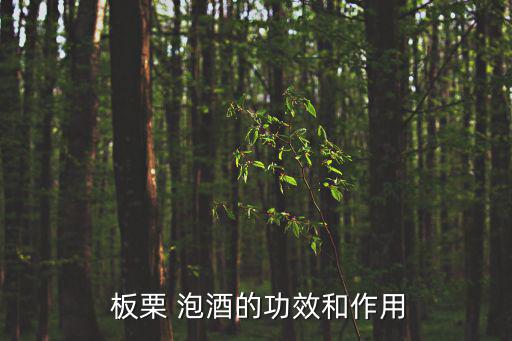 板栗 泡酒的功效和作用
