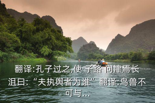 子路問津,河南新蔡縣問津place
