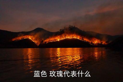  藍色 玫瑰代表什么