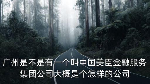廣州是不是有一個叫中國美臣金融服務集團公司大概是個怎樣的公司