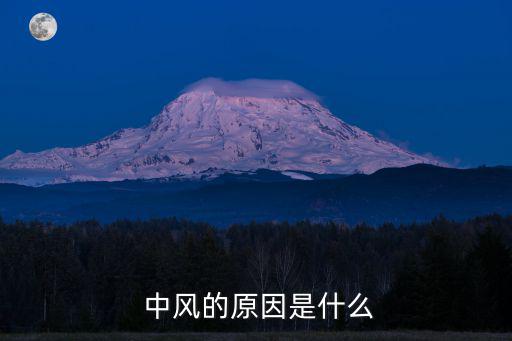 中風的原因,中風是神經內科急癥中老年人易中風
