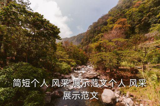 個(gè)人風(fēng)采展示,先進(jìn)個(gè)人簡(jiǎn)要信息應(yīng)寫明