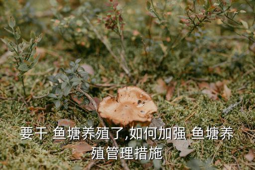 要干 魚塘養殖了,如何加強 魚塘養殖管理措施