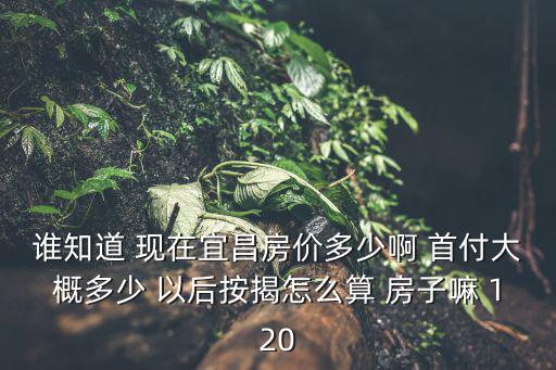 誰知道 現在宜昌房價多少啊 首付大概多少 以后按揭怎么算 房子嘛 120