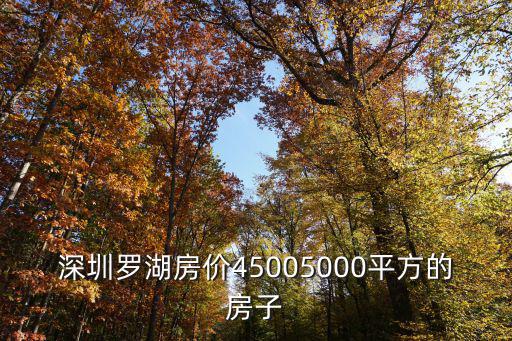 深圳羅湖房價45005000平方的房子