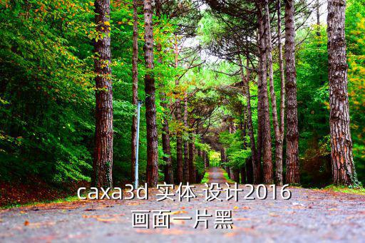 caxa3d 實體 設計2016畫面一片黑