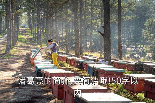 諸葛亮簡介,劉備請出諸葛亮聯合曹軍赤壁之戰擊敗曹軍