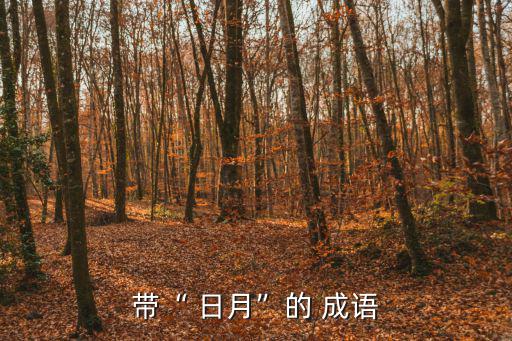 日月成語,日月越級第一集:日月繼續(xù)跑