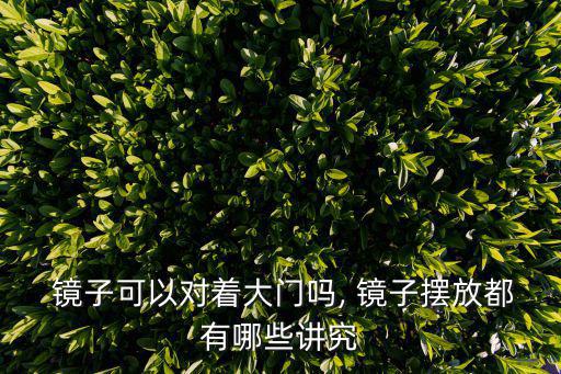 鏡子能對著門嗎,廁所裝修風水禁忌（十）