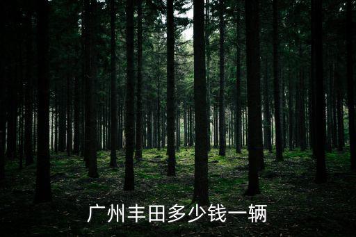 廣州豐田多少錢(qián)一輛