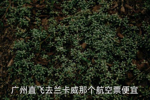 廣州直飛去蘭卡威那個航空票便宜