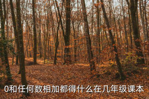 0和任何數相加都得什么在幾年級課本