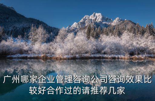 廣州哪家企業管理咨詢公司咨詢效果比較好合作過的請推薦幾家