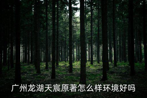廣州龍湖天宸原著怎么樣環(huán)境好嗎