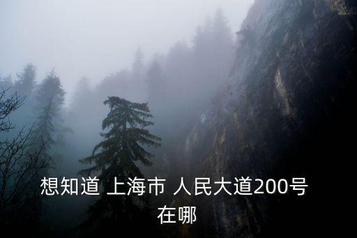 想知道 上海市 人民大道200號 在哪